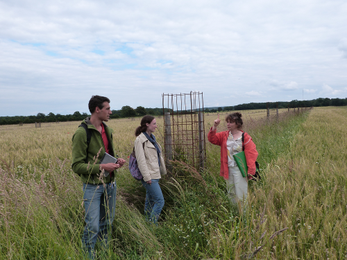 Visite de la parcelle agroforesti&egrave;re avec Fr&eacute;d&eacute;rique Santi